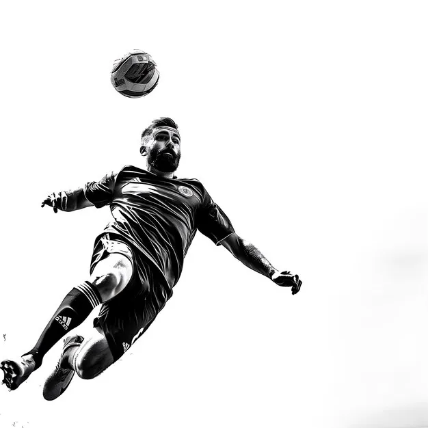 华体会专业高效团队风采